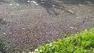 Blowjob On Public Park Trail - Monster Black Cock Sucked By Tiny Indian