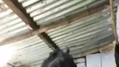 Guys pay money to make the Desi village teen's XXX video into MMS