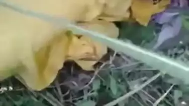 Voyeurist сaught on mms video Tamil wife outdoor fucking with best friend of husband